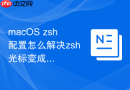macOS zsh配置怎么解决zsh光标变成实心方块闪烁
