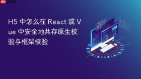 h5 中怎么在 react 或 vue 中安全地共存原生校验与框架校验
