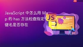 javascript 中怎么用 map 的 has 方法检查指定键名是否存在