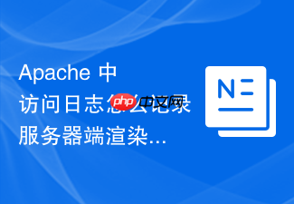 apache 中访问日志怎么记录服务器端渲染耗时评估后端性能