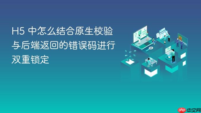 h5 中怎么结合原生校验与后端返回的错误码进行双重锁定