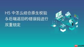 h5 中怎么结合原生校验与后端返回的错误码进行双重锁定
