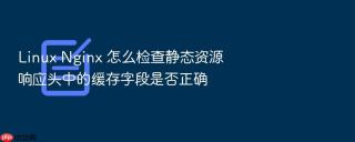 Linux Nginx 怎么检查静态资源响应头中的缓存字段是否正确