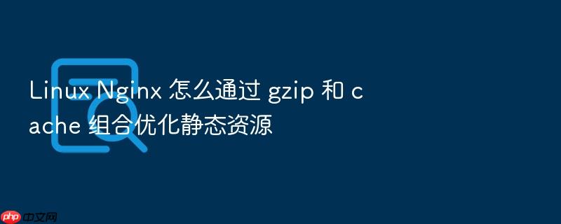linux nginx 怎么通过 gzip 和 cache 组合优化静态资源