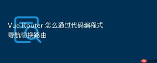 Vue Router 怎么通过代码编程式导航切换路由