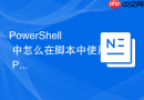 PowerShell 中怎么在脚本中使用 Param 块定义多组参数
