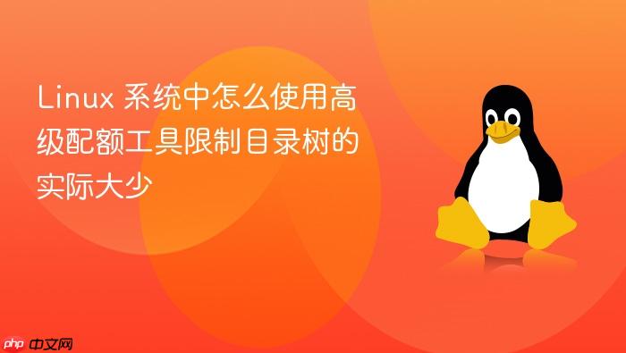 linux 系统中怎么使用高级配额工具限制目录树的实际大少