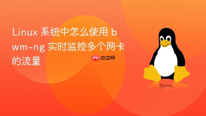 linux 系统中怎么使用 bwm-ng 实时监控多个网卡的流量