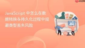 JavaScript 中怎么在数据转换与持久化过程中规避类型丢失风险