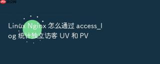 linux nginx 怎么通过 access_log 统计独立访客 uv 和 pv