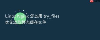 Linux Nginx 怎么用 try_files 优先读取静态缓存文件