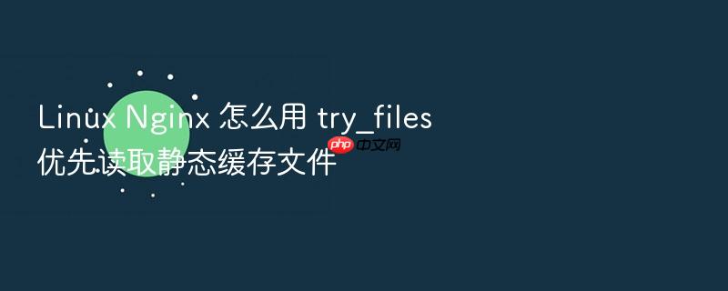 linux nginx 怎么用 try_files 优先读取静态缓存文件