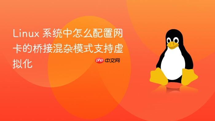 linux 系统中怎么配置网卡的桥接混杂模式支持虚拟化