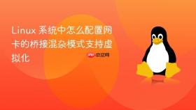 Linux 系统中怎么配置网卡的桥接混杂模式支持虚拟化