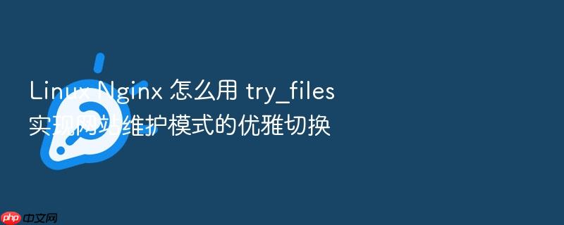 linux nginx 怎么用 try_files 实现网站维护模式的优雅切换