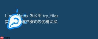 linux nginx 怎么用 try_files 实现网站维护模式的优雅切换