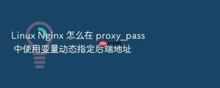 linux nginx 怎么在 proxy_pass 中使用变量动态指定后端地址