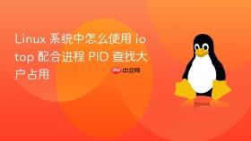 linux 系统中怎么使用 iotop 配合进程 pid 查找大户占用