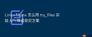 linux nginx 怎么用 try_files 实现 api 降级容灾方案