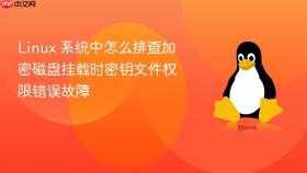 Linux 系统中怎么排查加密磁盘挂载时密钥文件权限错误故障