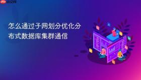 怎么通过子网划分优化分布式数据库集群通信