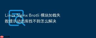 Linux Nginx Brotli 模块加载失败提示动态库找不到怎么解决