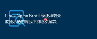 linux nginx brotli 模块加载失败提示动态库找不到怎么解决