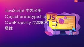 javascript 中怎么用 object.prototype.hasownproperty 过滤继承属性