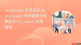 javascript 中怎么在 async/await 异步函数中完美结合 try-catch 处理错误