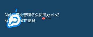 Nginx模块管理怎么使用geoip2解析访客省市信息