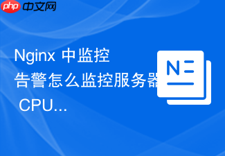 nginx 中监控告警怎么监控服务器 cpu 与内存占用防范资源耗尽