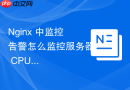 nginx 中监控告警怎么监控服务器 cpu 与内存占用防范资源耗尽