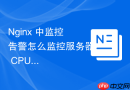 Nginx 中监控告警怎么监控服务器 CPU 与内存占用防范资源耗尽
