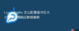 Linux Nginx 怎么配置缓冲区大小解决代理响应数据截断