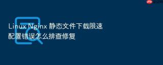 Linux Nginx 静态文件下载限速配置错误怎么排查修复