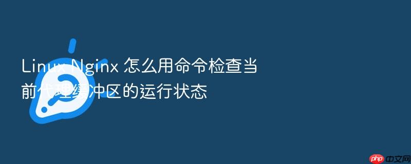 linux nginx 怎么用命令检查当前代理缓冲区的运行状态