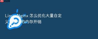 Linux Nginx 怎么优化大量自定义请求头的内存开销