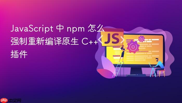 javascript 中 npm 怎么强制重新编译原生 c++ 插件