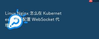 Linux Nginx 怎么在 Kubernetes 环境下配置 WebSocket 代理