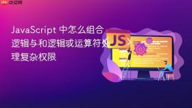 JavaScript 中怎么组合逻辑与和逻辑或运算符处理复杂权限