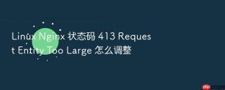 Linux Nginx 状态码 413 Request Entity Too Large 怎么调整
