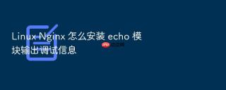 Linux Nginx 怎么安装 echo 模块输出调试信息