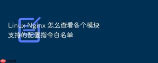 Linux Nginx 怎么查看各个模块支持的配置指令白名单