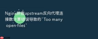 Nginx排查upstream反向代理连接数计算错误导致的`Too many open files`