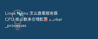 linux nginx 怎么查看服务器 cpu 核心数来合理配置 worker_processes