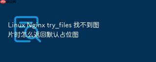 Linux Nginx try_files 找不到图片时怎么返回默认占位图