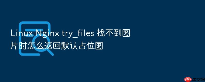 linux nginx try_files 找不到图片时怎么返回默认占位图