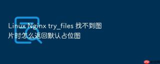linux nginx try_files 找不到图片时怎么返回默认占位图