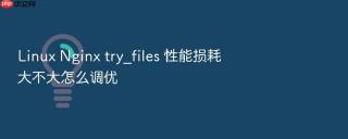 linux nginx try_files 性能损耗大不大怎么调优