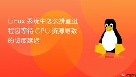 Linux 系统中怎么排查进程因等待 CPU 资源导致的调度延迟